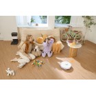 Робот-пилосос RoboRock S8+ Білий