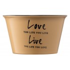 ARDESTO Бульйонниця Cream, 550 мл, оливкова, кераміка