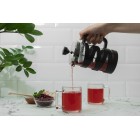 ARDESTO Френч-прес Gemini, 600 мл, нержавіюча сталь, скло, пластик ARDESTO Френч-прес Gemini, 600 мл, нержавіюча сталь, скло, пластик