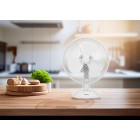 ARDESTO Вентилятор настільний FT-23A, 23 см, 2 швидкості, білий ARDESTO Вентилятор настільний FT-23A, 23 см, 2 швидкості, білий