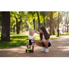 Miqilong Alamo Зелений