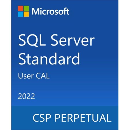 Microsoft SQL Server 2022 - 1 User CAL