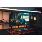 2E Монітор 31.5