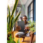 TECNO Планшет MEGAPAD 10 (T1001) 10.1