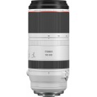 Canon RF 100-500mm f/4.5-7.1 L IS USM