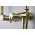 Deante Душова система Silia зі змішувачем для душу, душ - верхній душ, лійка, кріпл. - на стійці, брашоване золото