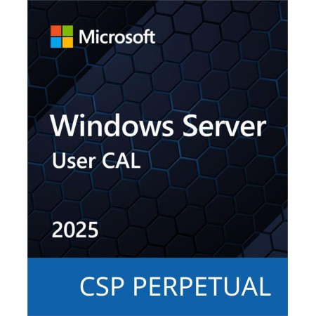 Microsoft Windows Server 2025 - 1 User CAL