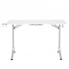 Стіл комп'ютерний 2E GAMING OTOROSHI, 120х60x75см, біло-сірий