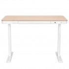 2E Стіл комп'ютерний СЕ218D-MOTORIZED, регулювання висоти, електропривід 220В, (USB-A/USB-C), 72/120х118x60см, бежевий