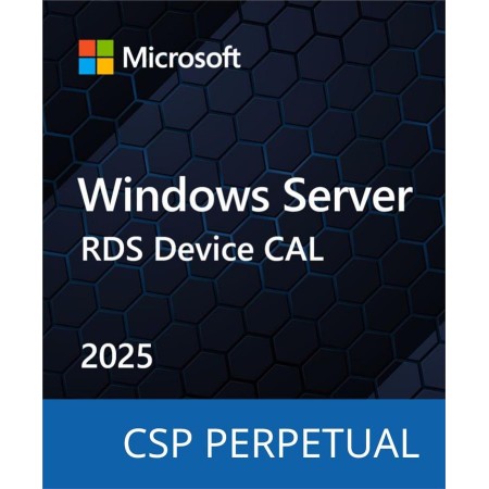 Microsoft Windows Server 2025 Remote Desktop Services - 1 De