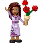 Конструктор LEGO recruitment Disney Princess Вітальний стенд Аші Конструктор LEGO recruitment Disney Princess Вітальний стенд Аші