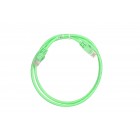 2E Cat 5e, UTP, RJ45, 26AWG ,7/0.16 CCA, 1.00 m, PVC, Green