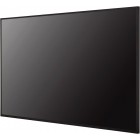 Інформаційний дисплей 43" LG 500 кд/м2 43UH5N-M Чорний