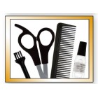 Moser Машинка для стриження WAHL HomePro, від мережі, вібраційний мотор, насадок-8, кейс,ножиці, гребінець в компл, сталь, чорно-сріблястий Moser Машинка для стриження WAHL HomePro, від мережі, вібраційний мотор, насадок-8, кейс,ножиці, гребінець в компл, сталь, чорно-сріблястий