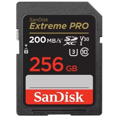 SanDisk Карта пам'яті SD 256GB C10 UHS-I U3 R200/W140MB/s Ex