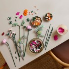 Конструктор LEGO Botanicals Милий рожевий букет квітів