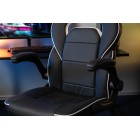 2E Gaming Ігрове крісло HEBI Black/White