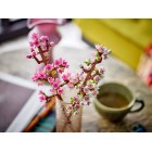 LEGO Конструктор Icons Цвіт вишні