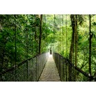 Ноутбук HP Probook 4-G1a 14