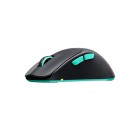 Cherry Xtrfy Миша M64, WL/USB-A, RGB, чорний