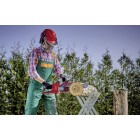 Einhell Пила ланцюгова FORTEXXA 18/30 X-CHANGE 4600010