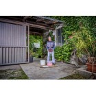 Einhell Міксер будівельний акумуляторний TP-MX 18-2LI BL - Solo, PXC, 18В, 450/720об•хв, М14, 60Нм, безщітковий, 5.11кг, без АКБ і ЗП Einhell Міксер будівельний акумуляторний TP-MX 18-2LI BL - Solo, PXC, 18В, 450/720об•хв, М14, 60Нм, безщітковий, 5.11кг, без АКБ і ЗП