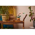 Конструктор LEGO Botanicals Міні орхідея