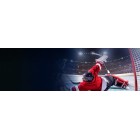 Transcend Карта пам'яті SD 128GB C10 UHS-I U3 A2 R160/W90MB/s 4K