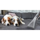 Thomas Пилосос миючий Aqua FleckWasher , 1400Вт, вода -8л