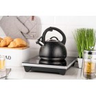 ARDESTO Чайник Gemini, 2.5 л, нержавіюча сталь