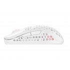 Cherry Xtrfy Миша M42, WL/USB-A, RGB, білий Cherry Xtrfy Миша M42, WL/USB-A, RGB, білий