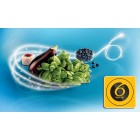 Холодильник Whirlpool з нижн. мороз., 203.5x60х66.3, холод.відд.-231л, мороз.відд.-104л, 2дв., А++, NF, дисплей, інв., зона нульова, нерж