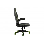 2E Gaming Ігрове крісло HEBI Black/Green