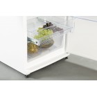 SNAIGE Холодильна камера, 163x60х65, 308л, 1дв., A++, ST, білий SNAIGE Холодильна камера, 163x60х65, 308л, 1дв., A++, ST, білий