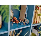 LEGO Конструктор Harry Potter Араґоґ у Забороненому лісі LEGO Конструктор Harry Potter Араґоґ у Забороненому лісі