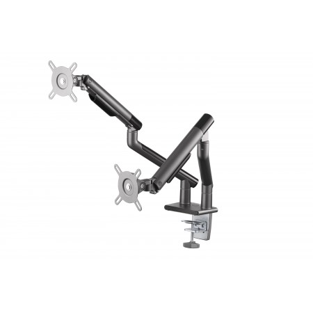 2E Кріплення моніторів настільне Бейрбі