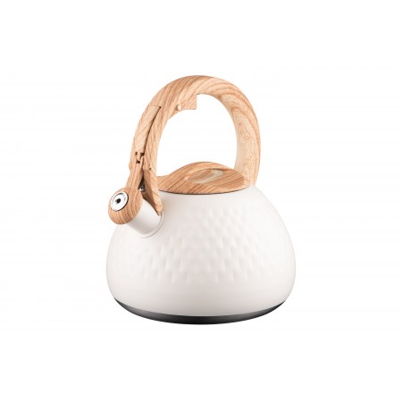 ARDESTO Чайник Gemini, 2.5 л, нержавіюча сталь