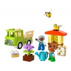 LEGO Конструктор DUPLO Town Догляд за бджолами й вуликами