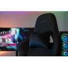 2E Gaming Крісло BUSHIDO II Dark Grey