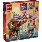 LEGO Конструктор Ninjago Храм каменю дракона