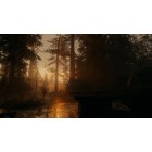 Games Software Alan Wake 2 Deluxe Edition [BD disk] (PS5)