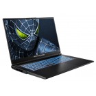 Ноутбук Dream Machines RG5050-17 17.3FHD IPS, Intel i7-14650HX, 32GB, F2TB, NVD5050-8, DOS, чорний