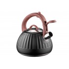 ARDESTO Чайник Gemini, 2.5 л, нержавіюча сталь