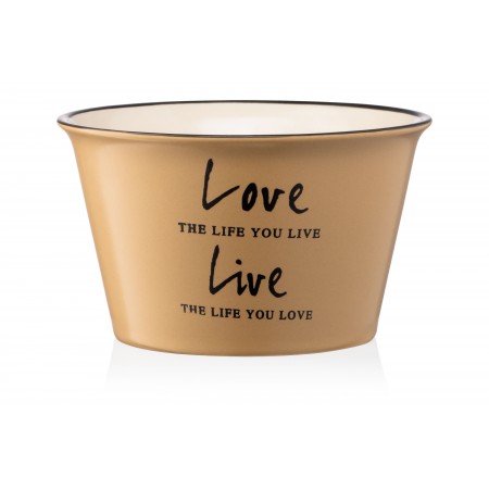 ARDESTO Бульйонниця Cream, 550 мл, оливкова, кераміка