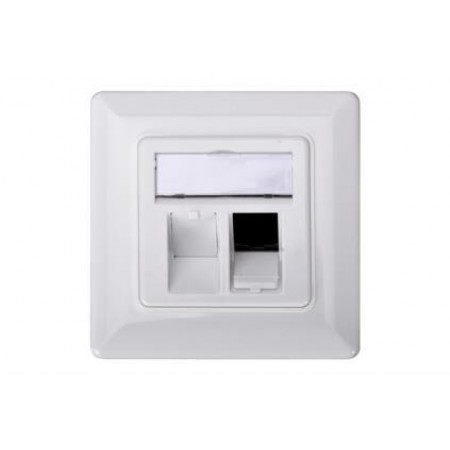 Digitus Лицьова панель 2х Keystone 80x80 із заземлення