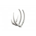 LEGO Конструктор Creator Могутні динозаври LEGO Конструктор Creator Могутні динозаври