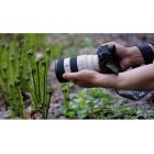 Об'єктив Sony 70-200mm f/4.0 G OSS II Чорний/Сірий