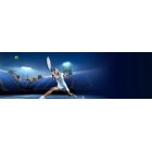 Transcend Карта пам'яті SD 256GB C10 UHS-I U3 A2 R160/W90MB/s 4K