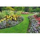 Cellfast Стрічка газонна, бордюрна, пряма, 10см x 9м, чорна Cellfast Стрічка газонна, бордюрна, пряма, 10см x 9м, чорна