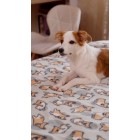 ARDESTO Плед Fleece, 130x160см, 100% поліестер, коргі ARDESTO Плед Fleece, 130x160см, 100% поліестер, коргі